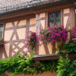 half-timbered house, architecture, facade-6570674.jpg